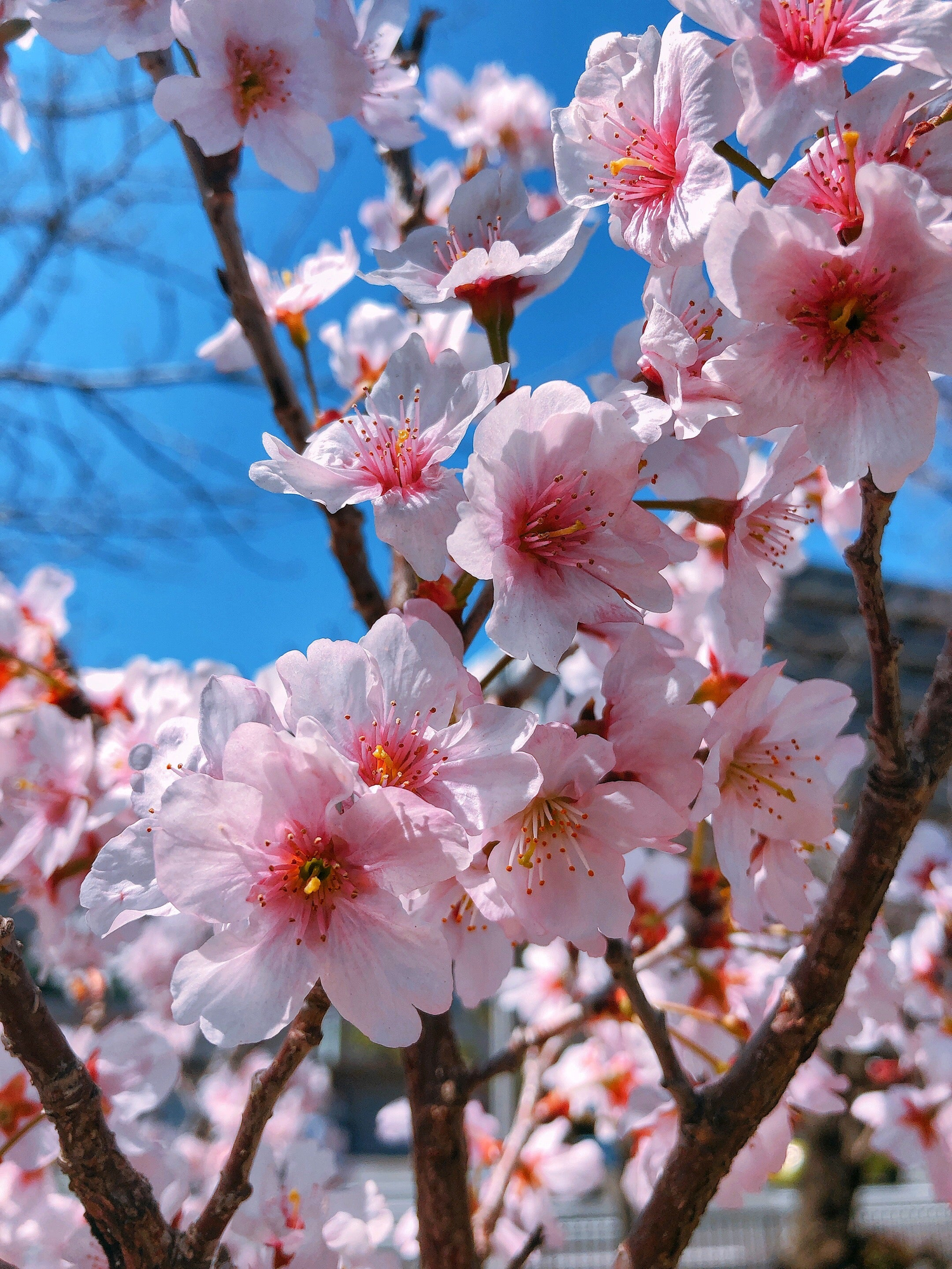 Captivating Digital Photo Downloads from Around the Globe